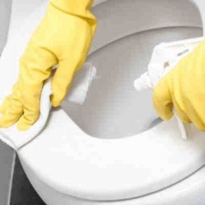 Cómo limpiar el Baño Rápidamente (5)