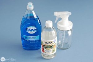 Cómo limpiar el Baño Rápidamente (8)
